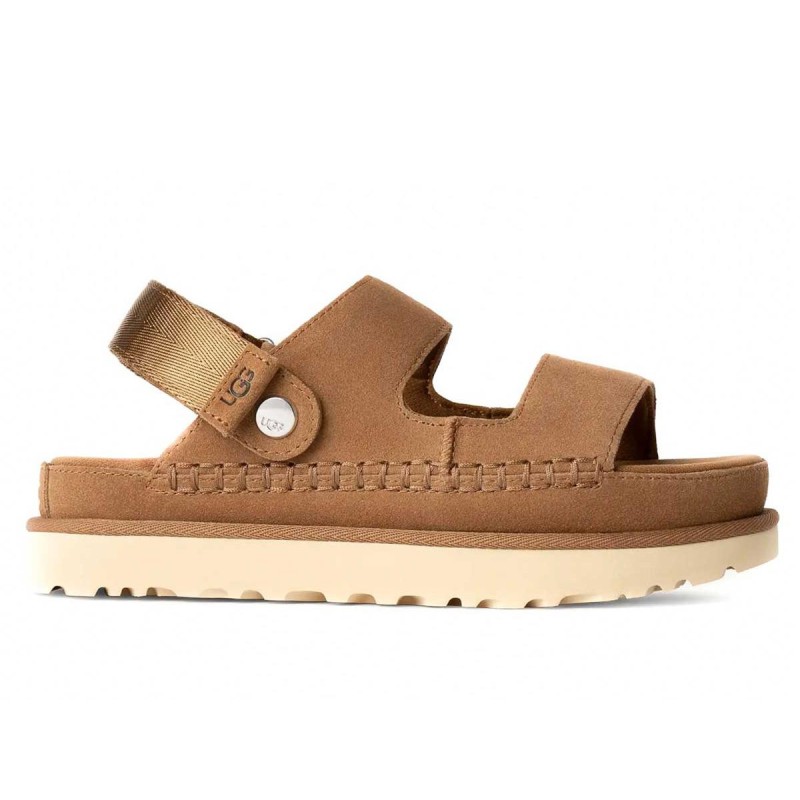 Goldenstar Glide 1167399