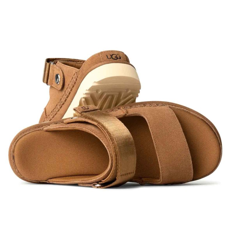 Goldenstar Glide 1167399