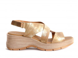 Paula Urban 27-773