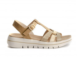Amarpies ABZ28664