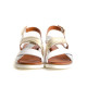 Walk & Fly P-1