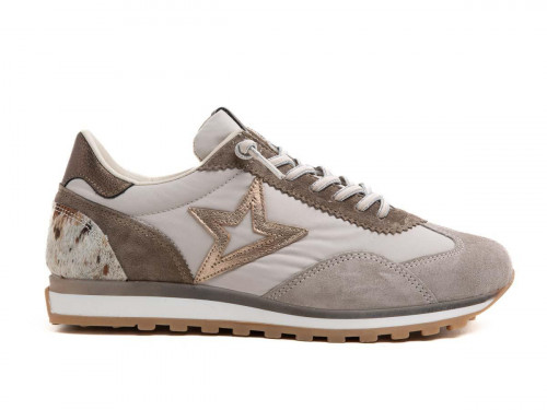 Cetti 1259