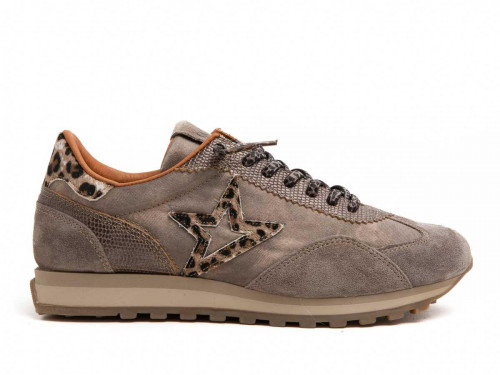 Cetti 1259