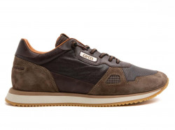 Cetti 1397